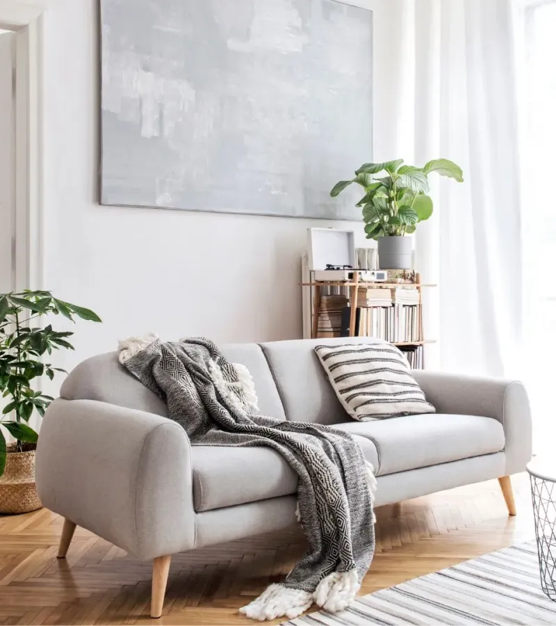 Room with green plant and hanging towels