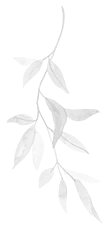 Eastwood-Plant-BG-3