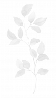 Eastwood-Plant-BG-2